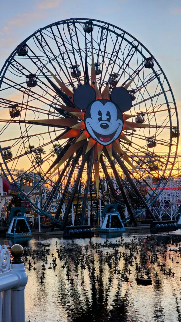 Disneyland Theme Park