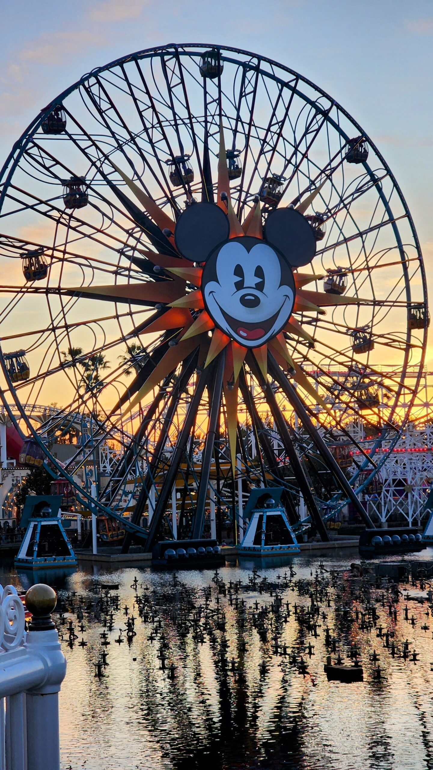 Disneyland Theme Park